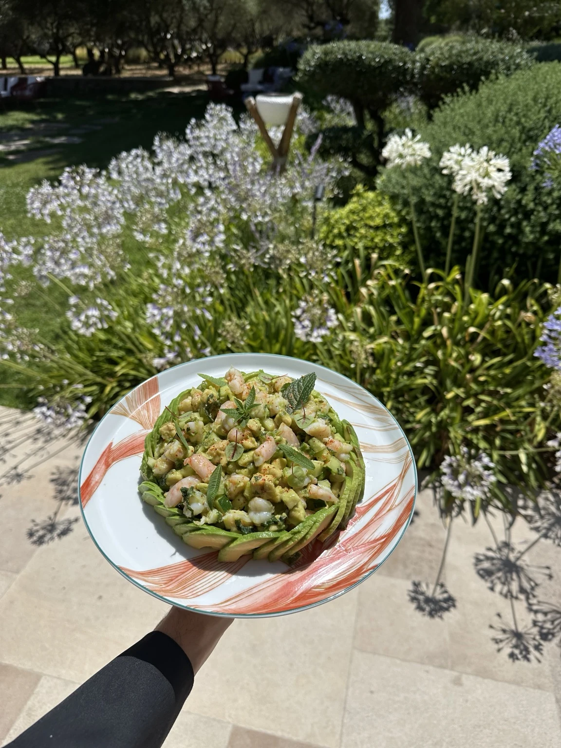 Assiette estivale à l’avocat et aux crevettes dans un jardin